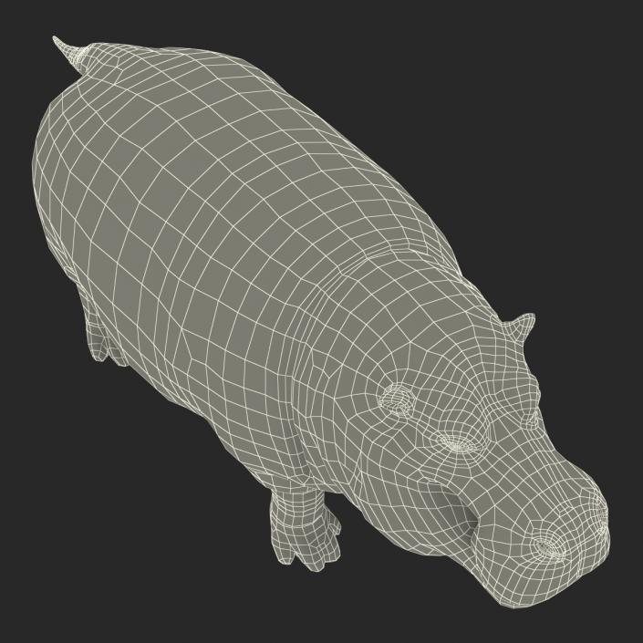 3D Hippopotamus with Fur