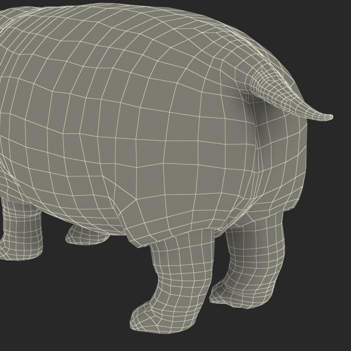 3D Hippopotamus with Fur