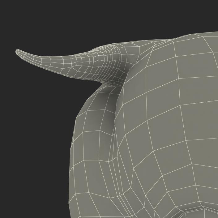 3D Hippopotamus with Fur