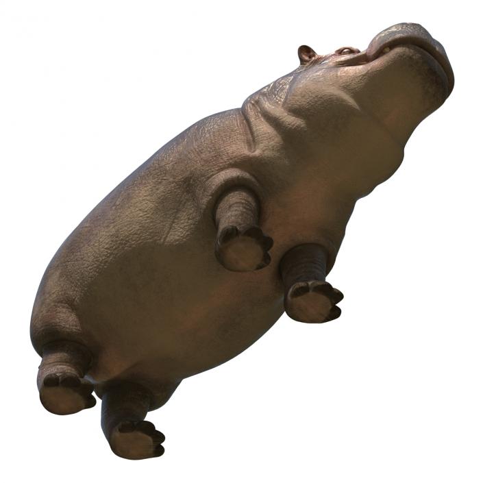 Hippopotamus 3D