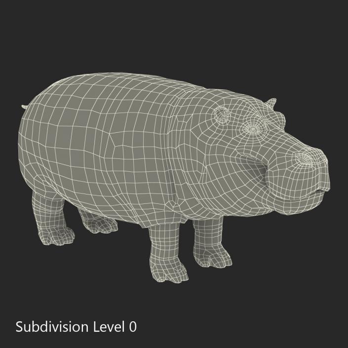 Hippopotamus 3D