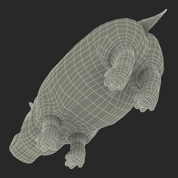 Hippopotamus 3D