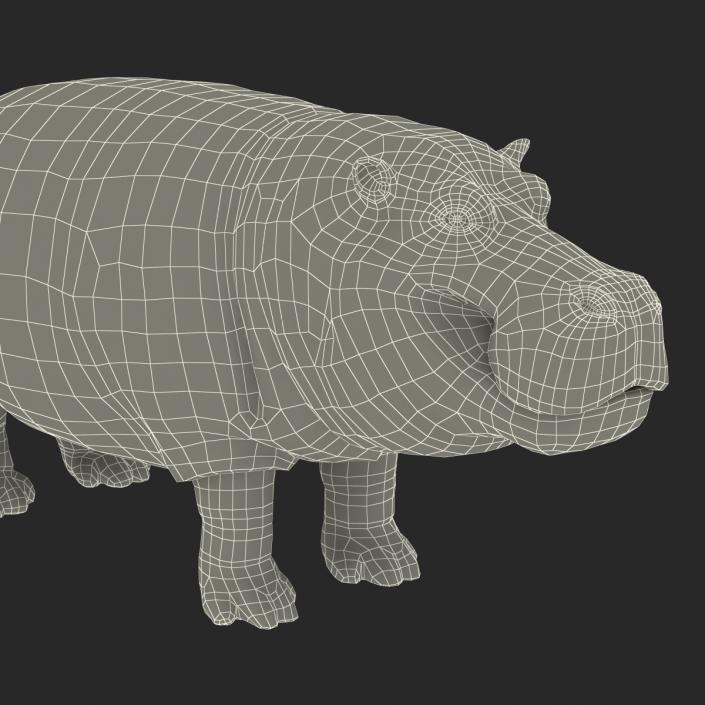 Hippopotamus 3D