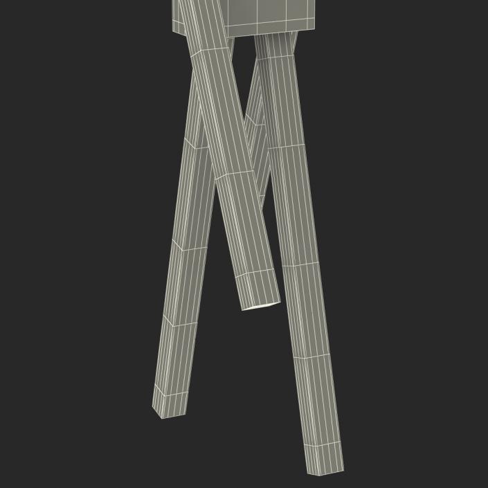 3D model Minecraft EnderMan Rigged