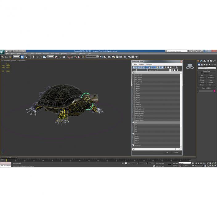 European Pond Turtle Rigged 3D