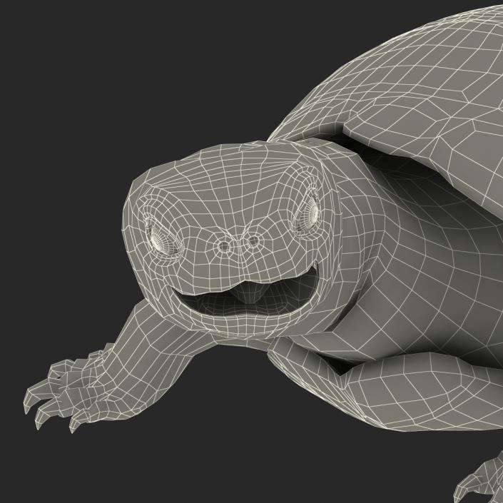 European Pond Turtle Pose 2 3D