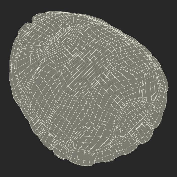 Turtle Shell 2 3D model