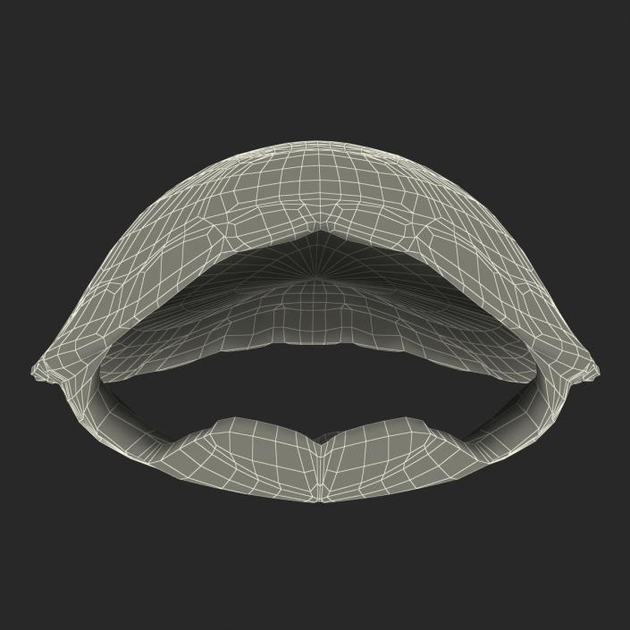 Turtle Shell 2 3D model