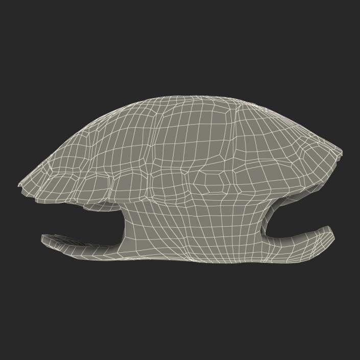 Turtle Shell 2 3D model