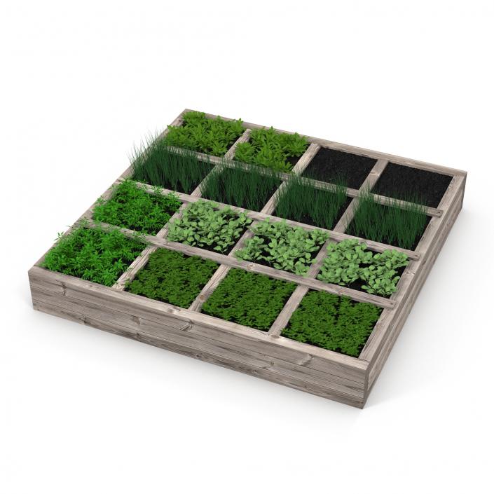 3D Vegetable Garden