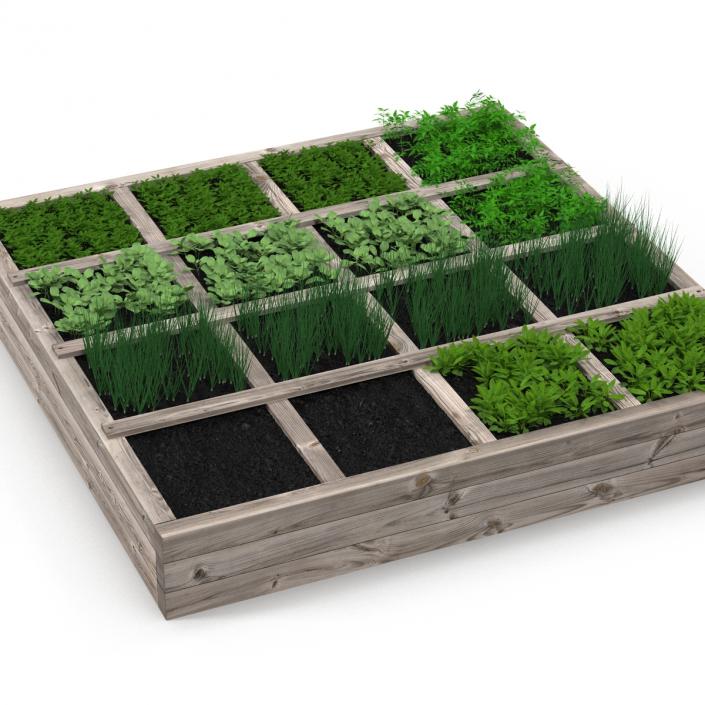 3D Vegetable Garden