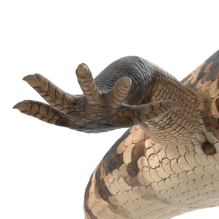 3D model Blue Tongued Skink Pose 2