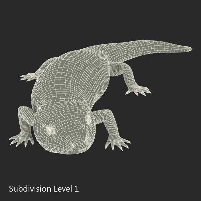 3D model Blue Tongued Skink Pose 2