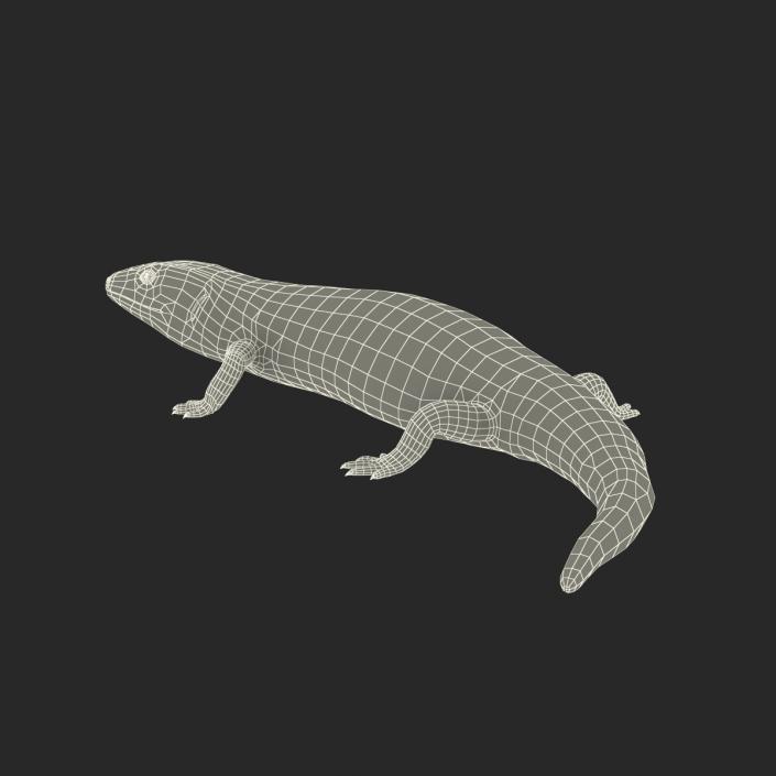 3D model Blue Tongued Skink Pose 2