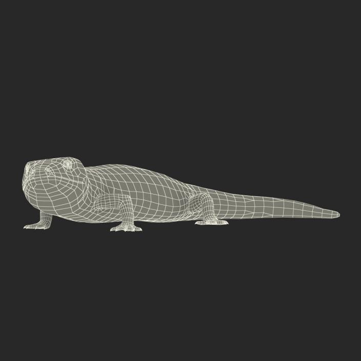 3D model Blue Tongued Skink Pose 2