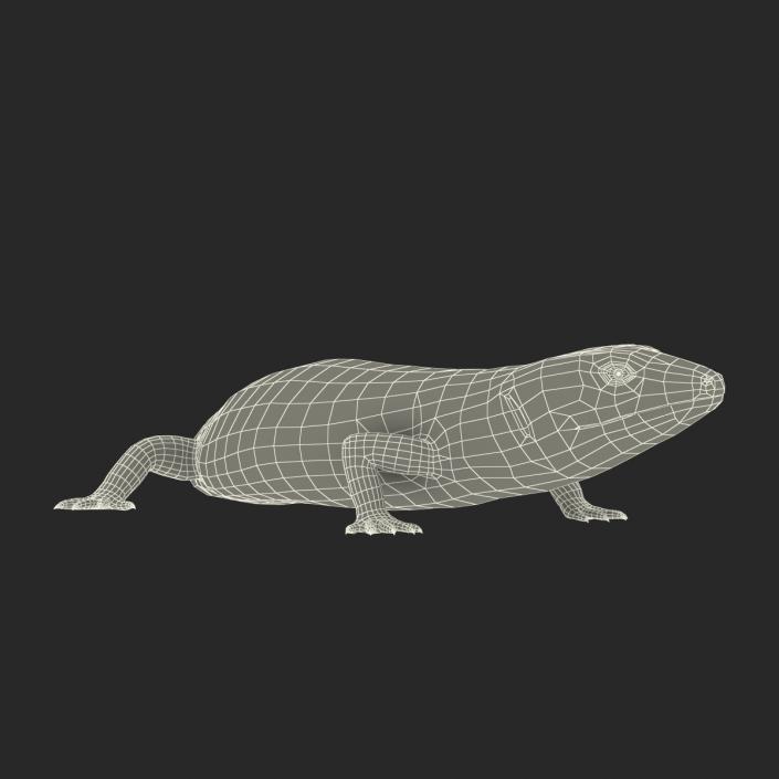 3D model Blue Tongued Skink Pose 2