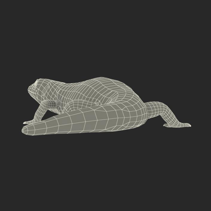 3D model Blue Tongued Skink Pose 2