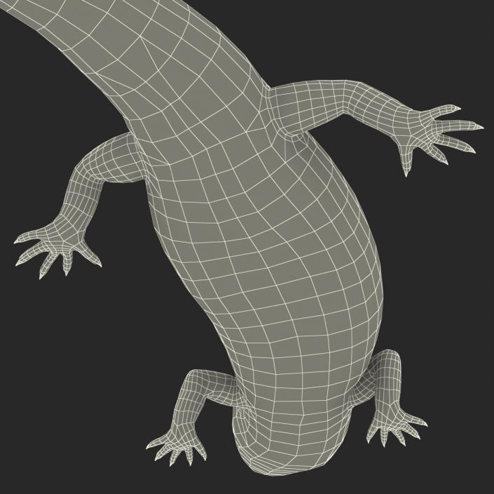 3D model Blue Tongued Skink Pose 2