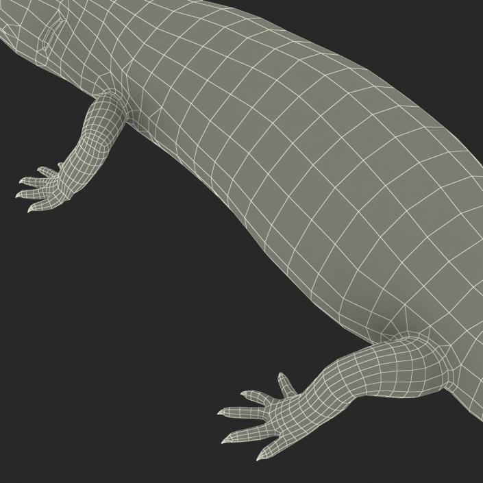 3D model Blue Tongued Skink Pose 2