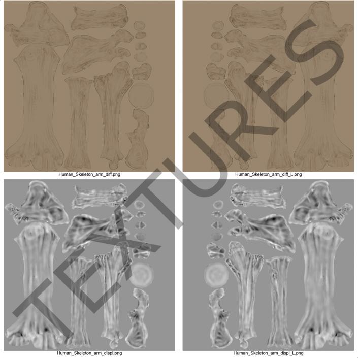 Human Male Skeleton 3D model