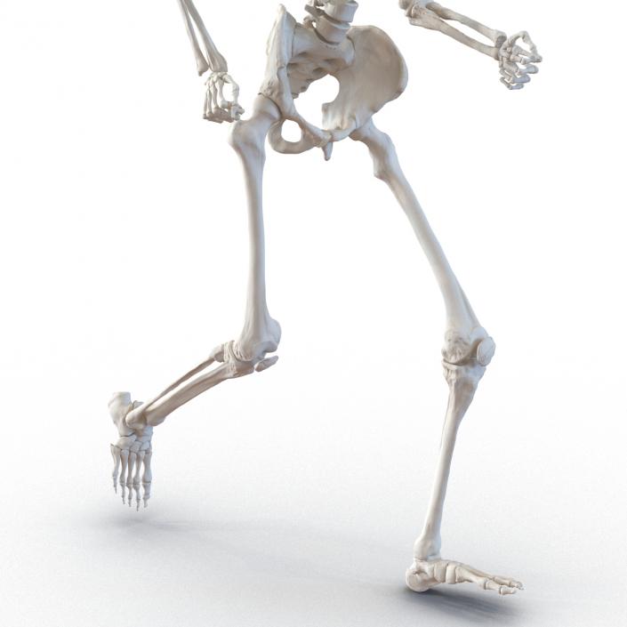 Human Male Skeleton Running Pose 3D