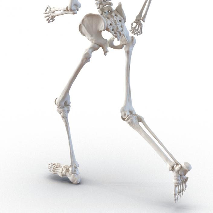 Human Male Skeleton Running Pose 3D