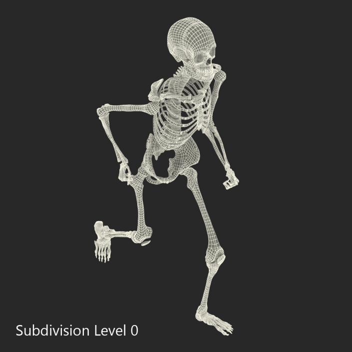 Human Male Skeleton Running Pose 3D