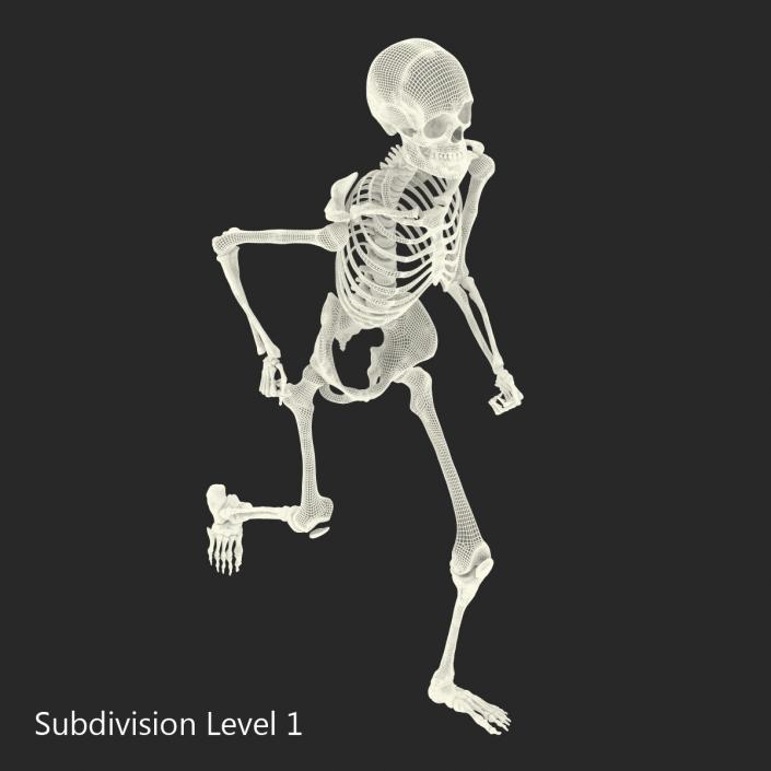 Human Male Skeleton Running Pose 3D