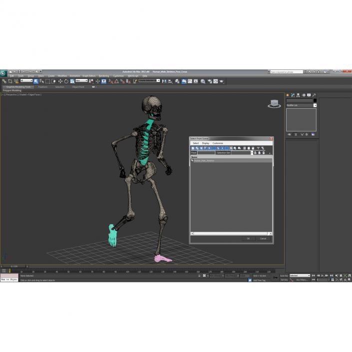 Human Male Skeleton Running Pose 3D