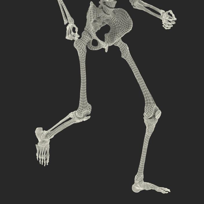 Human Male Skeleton Running Pose 3D