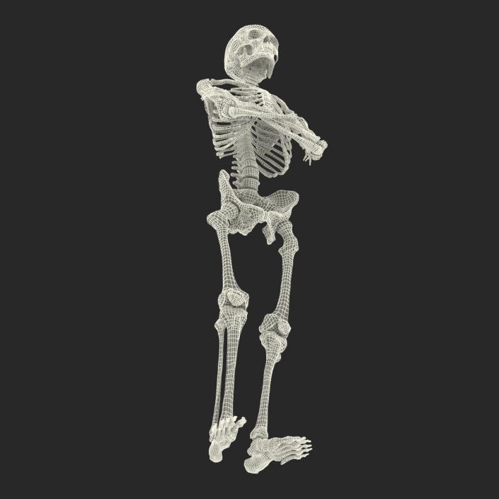 3D Human Male Skeleton Pose 2