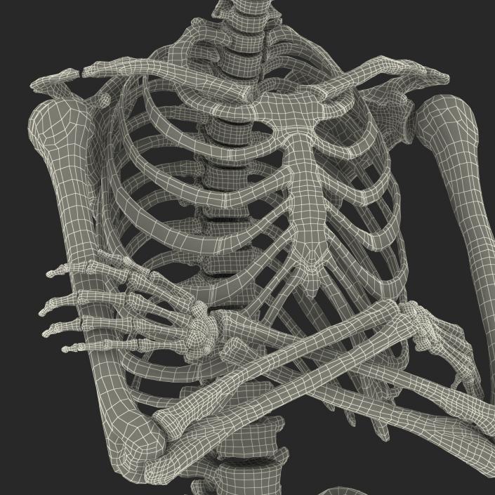 3D Human Male Skeleton Pose 2