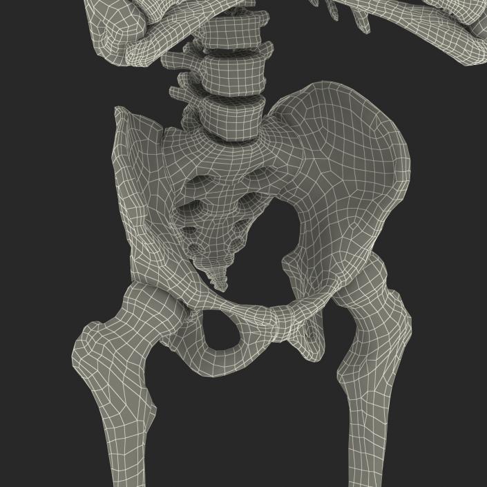 3D Human Male Skeleton Pose 2