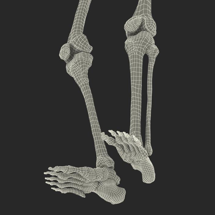 3D Human Male Skeleton Pose 2