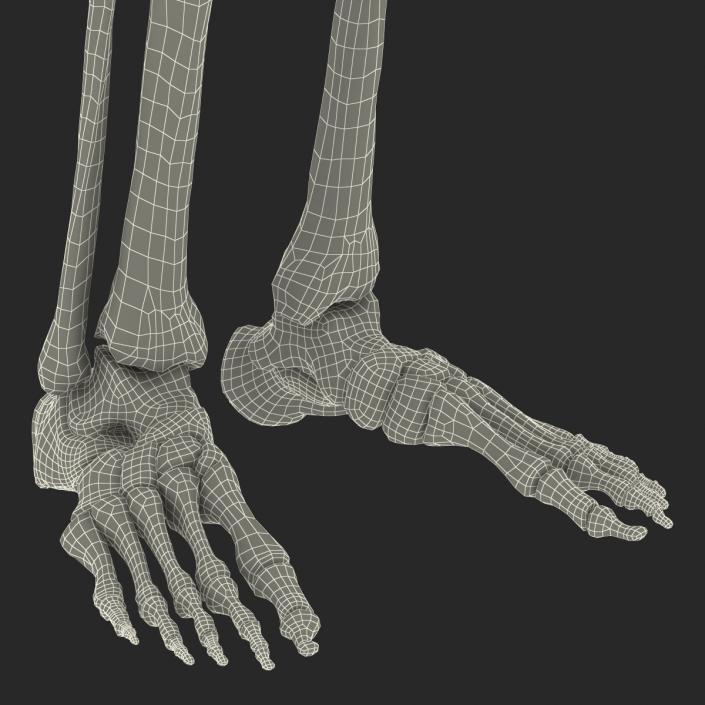 3D Human Male Skeleton Pose 2