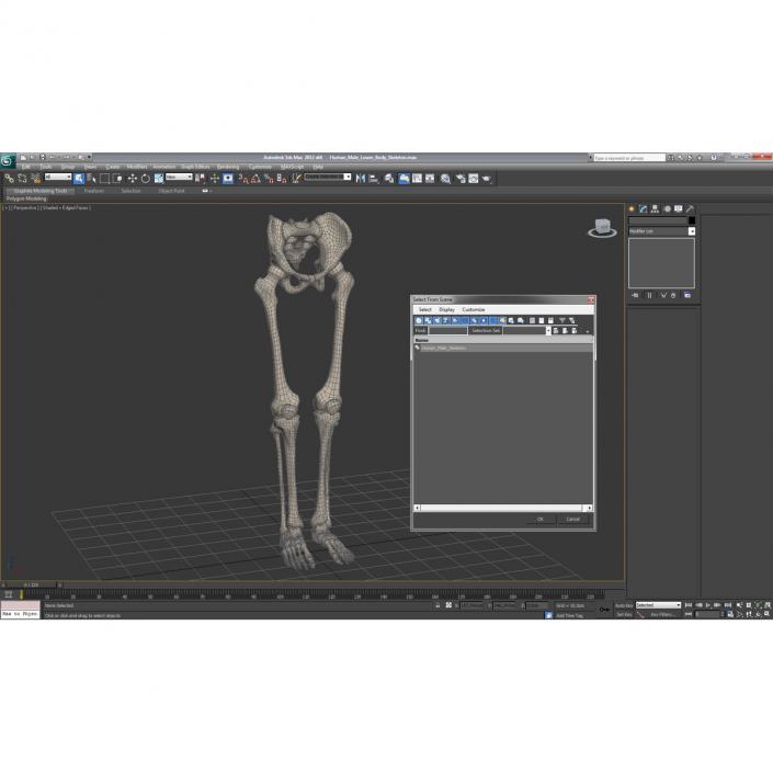 3D model Human Male Lower Body Skeleton