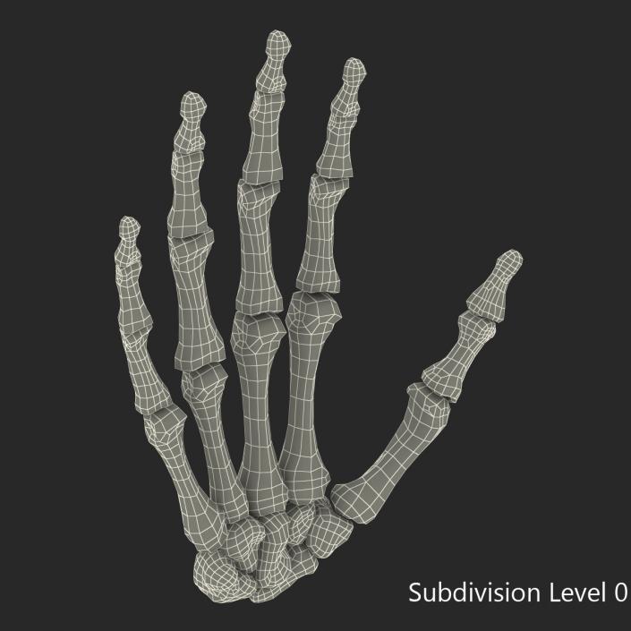 3D Human Hand Bones