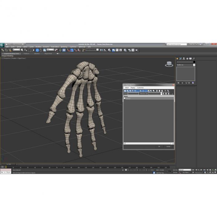 3D Human Hand Bones