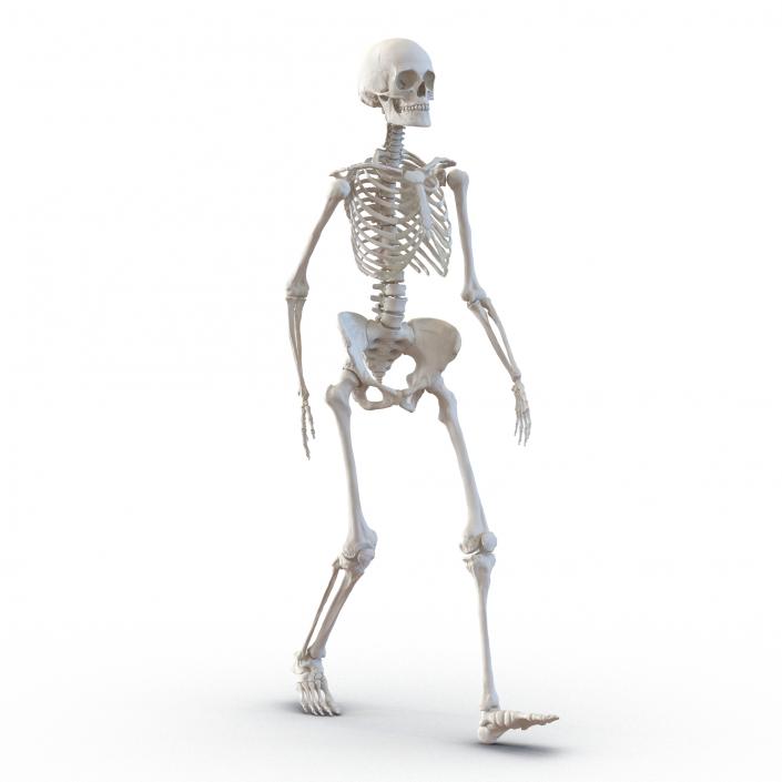 3D Human Female Skeleton Pose 3 model