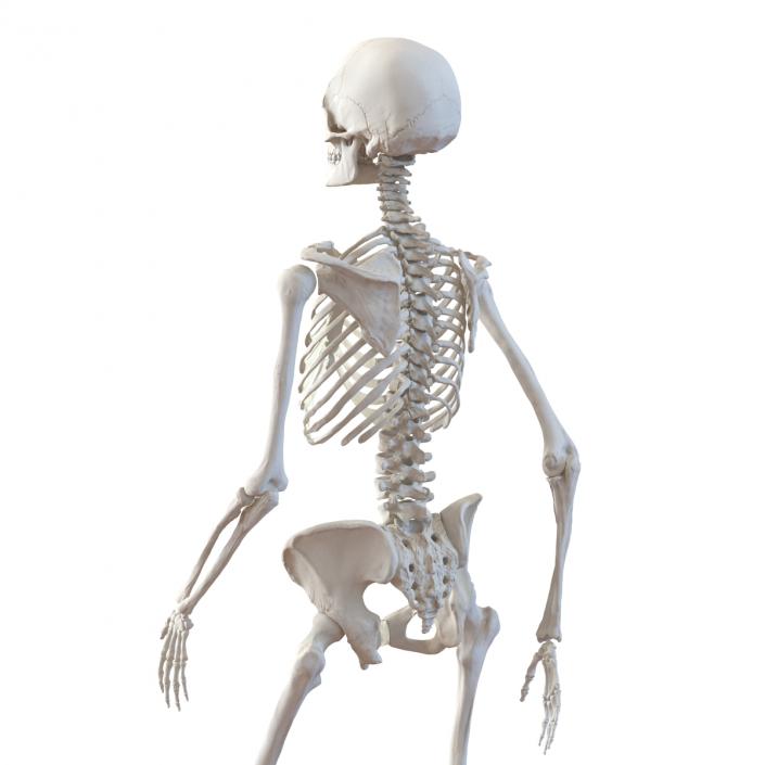 3D Human Female Skeleton Pose 3 model