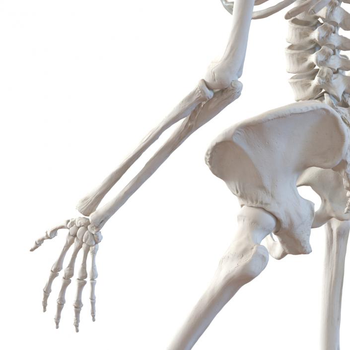 3D Human Female Skeleton Pose 3 model