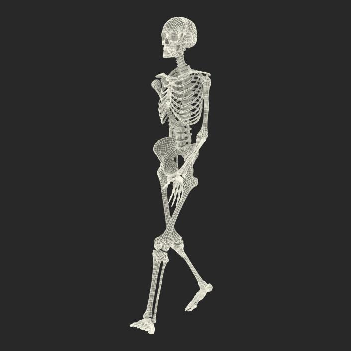 3D Human Female Skeleton Pose 3 model