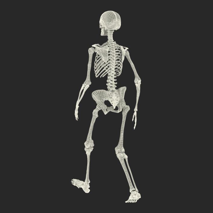 3D Human Female Skeleton Pose 3 model