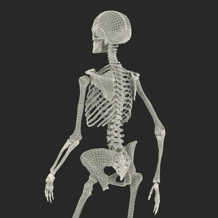 3D Human Female Skeleton Pose 3 model