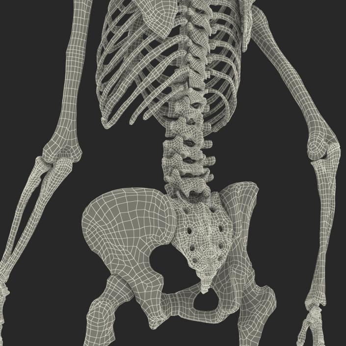 3D Human Female Skeleton Pose 3 model