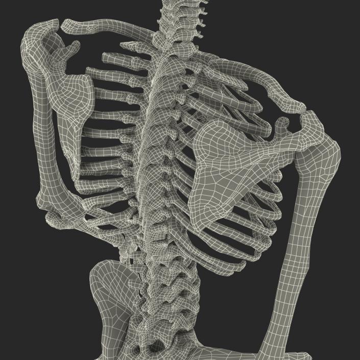 3D Human Female Skeleton Pose 3 model