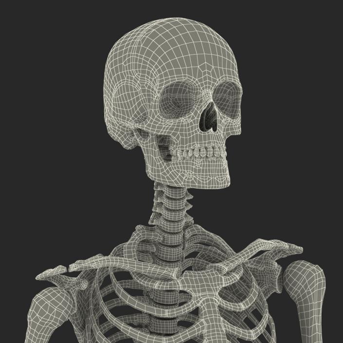 3D Human Female Skeleton Pose 3 model