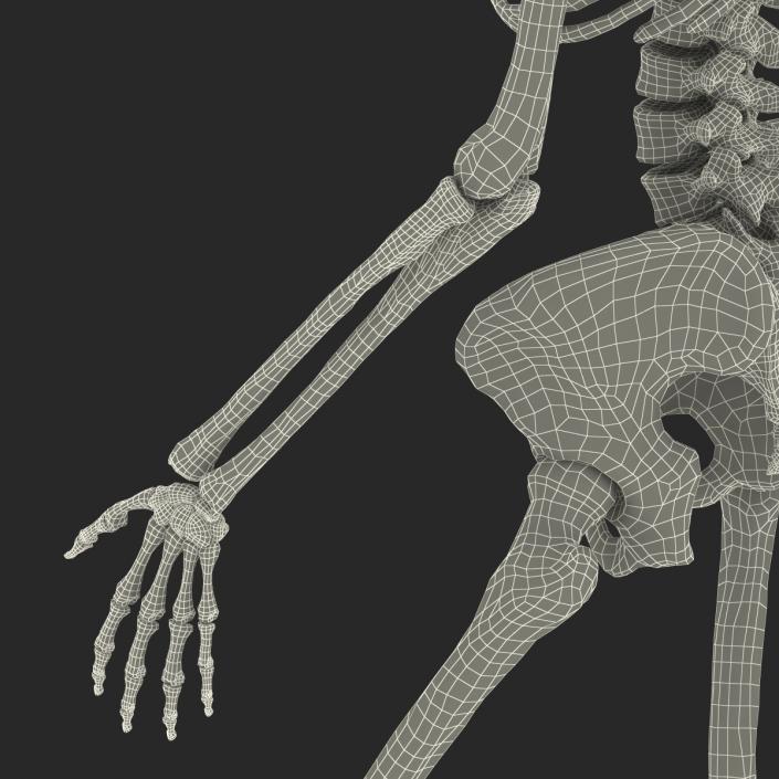 3D Human Female Skeleton Pose 3 model