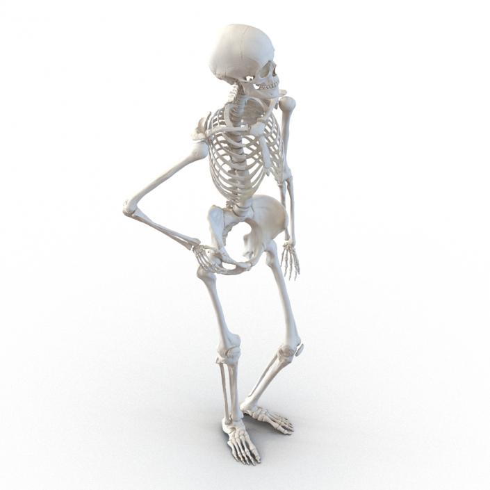 3D Human Female Skeleton Pose 2 model