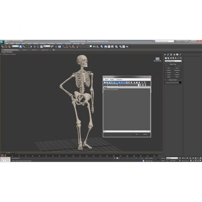 3D Human Female Skeleton Pose 2 model